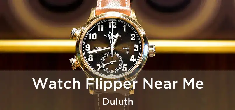 Watch Flipper Near Me Duluth